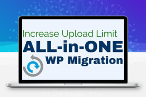 All in One WP Migration Unlimited Extension v2.49 解除上传限制