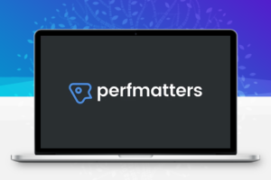 Perfmatters v2.0.7 WP加速插件