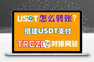 独角数卡如何配置Epusdt-搭建USDT中间件教程无需第三方平台