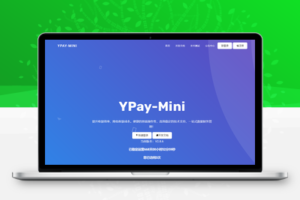 YPay MINI-PRO打造更专业的聚合免签码支付易支付系统